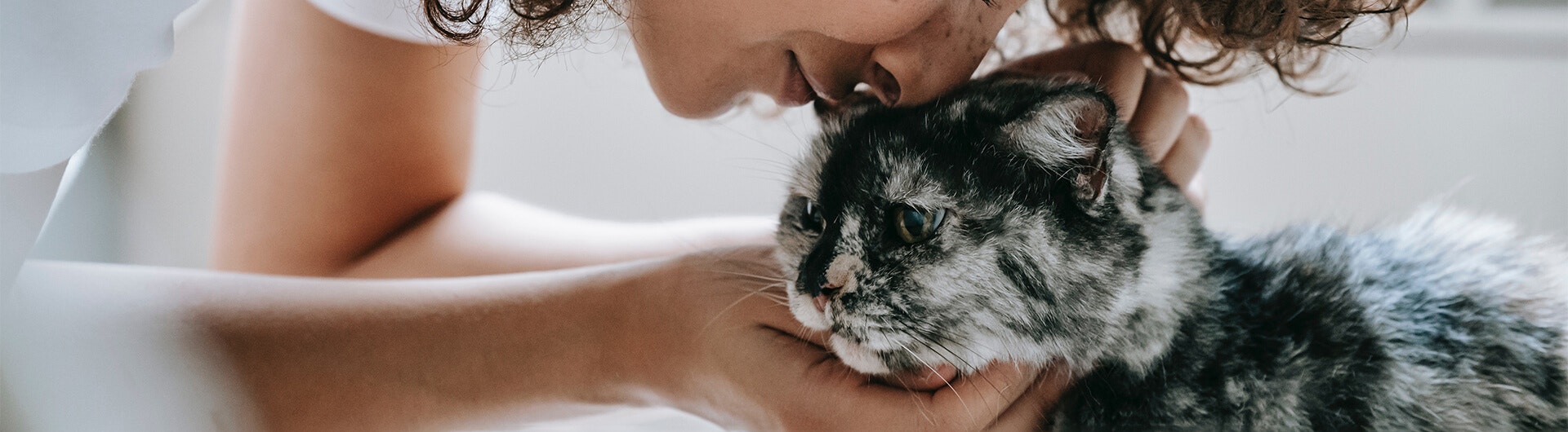 Besitzer streichelt seine Katze