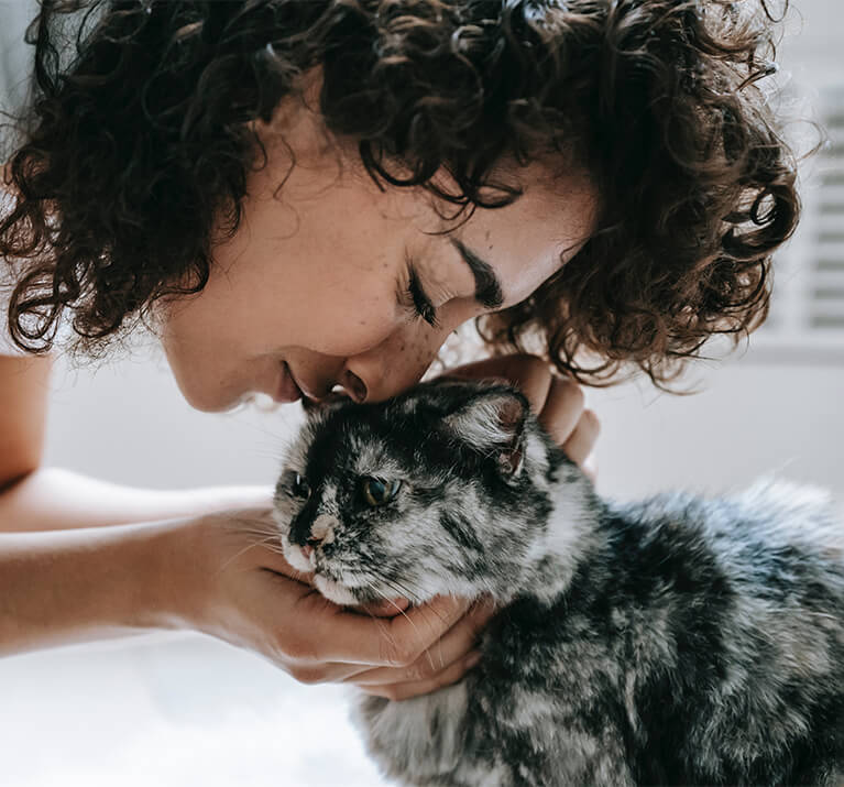 Besitzer streichelt seine Katze