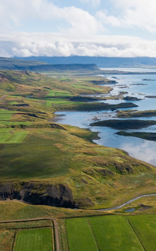 SO ERZEUGEN WIR UNSER FUTTER