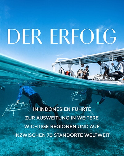 Der Erfolg