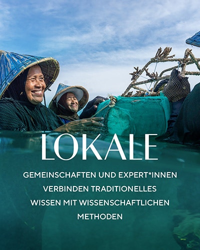 Lokale