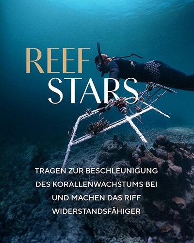 Reef Stars
