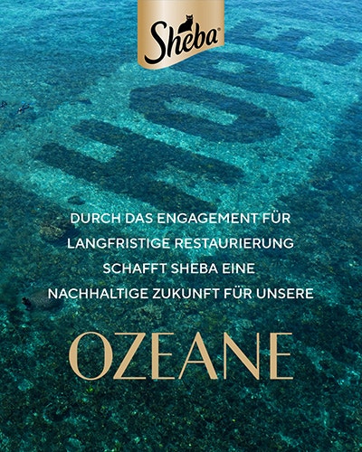 Ozeane