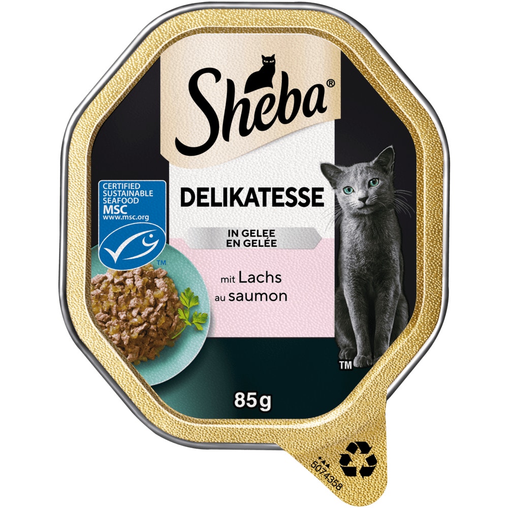 mit Lachs MSC in Gelee 85g - Delikatesse - 1