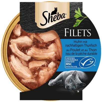 Filets Thunfisch MSC, Schale