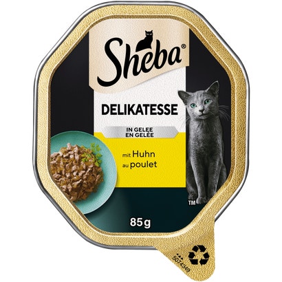 Delikatesse in Gelee mit Huhn, Schale