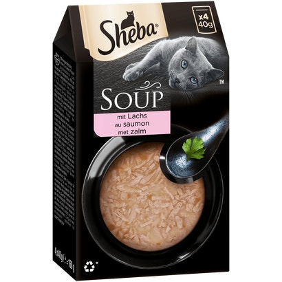 Soup mit Lachs, Portionsbeutel Multipack