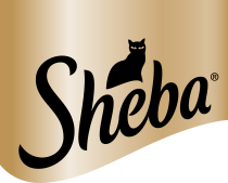 Sheba DE